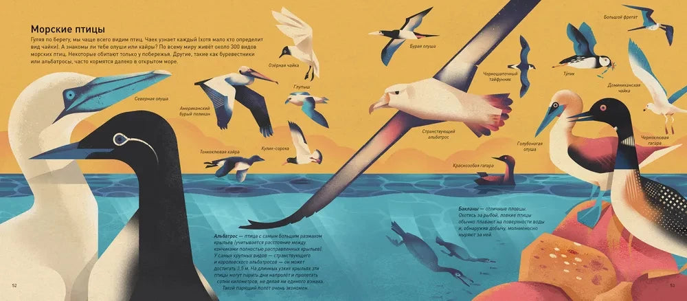 Мир морей 9785605283508