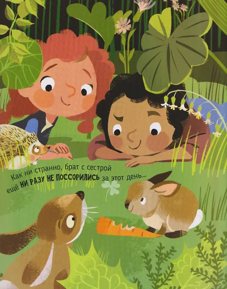 Самый лучший день. Приключение брата и сестры 9785605294528