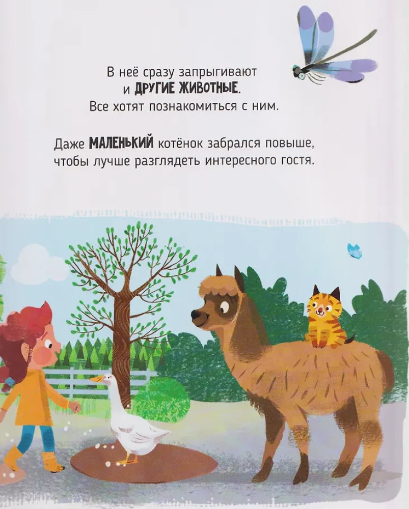 Самый лучший день. Приключение брата и сестры null - 3