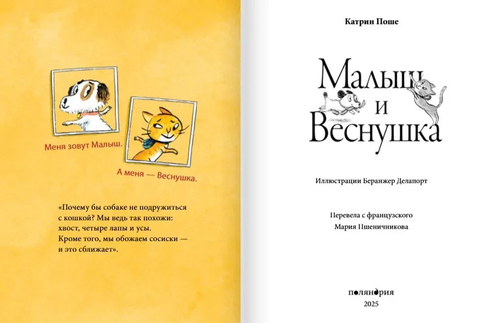 Малыш и веснушка 9785605370529