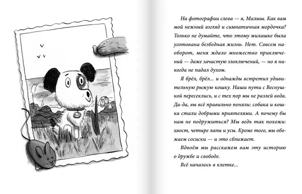 Малыш и веснушка null - 2