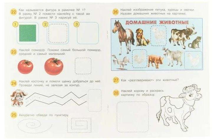 Развивающие задания с наклейками. 3 года null - 1