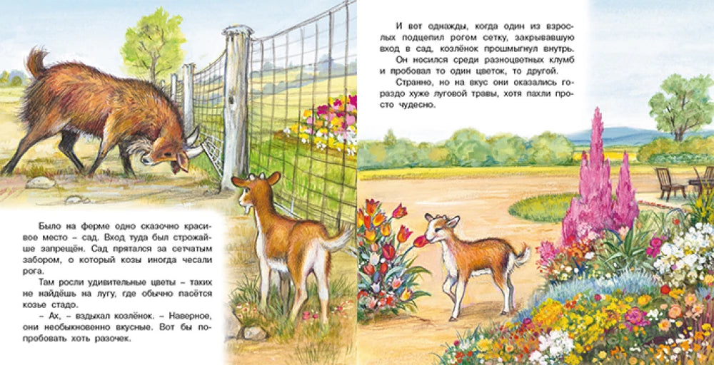 Приключения козленка null - 2