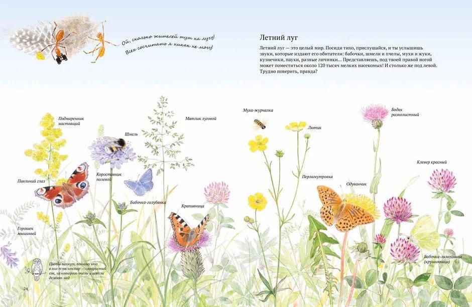 Экспедиция Софи 9785906640598