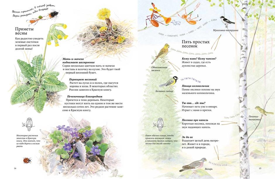 Экспедиция Софи 9785906640598