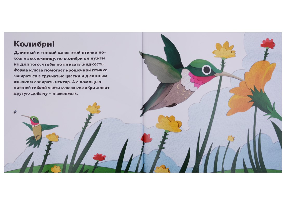 Птицы и букашки: от носа до хвоста 9785906994189