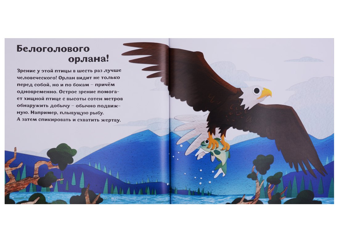 Птицы и букашки: от носа до хвоста 9785906994189