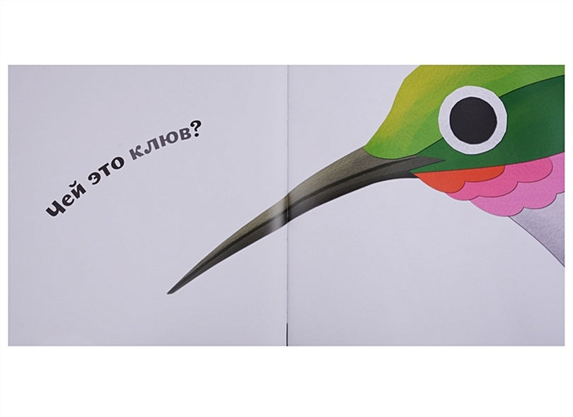 Птицы и букашки: от носа до хвоста 978-5-906994-18-9 - 1