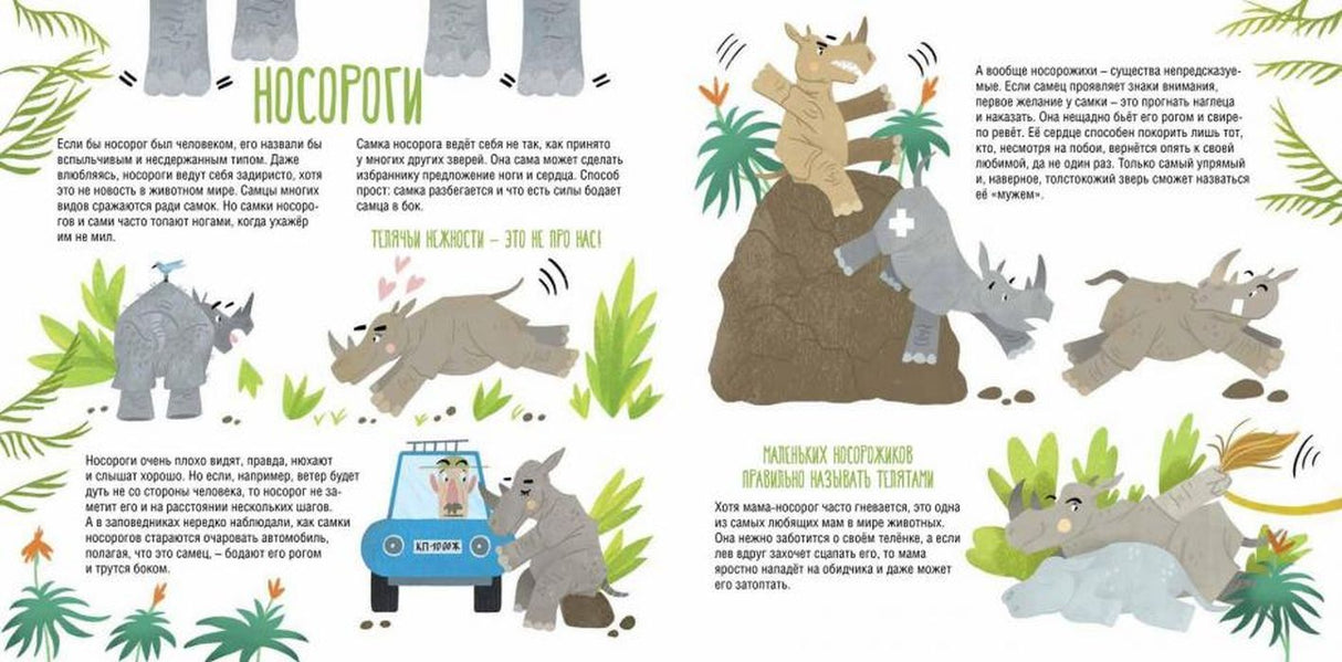 папа мама 9785906994264