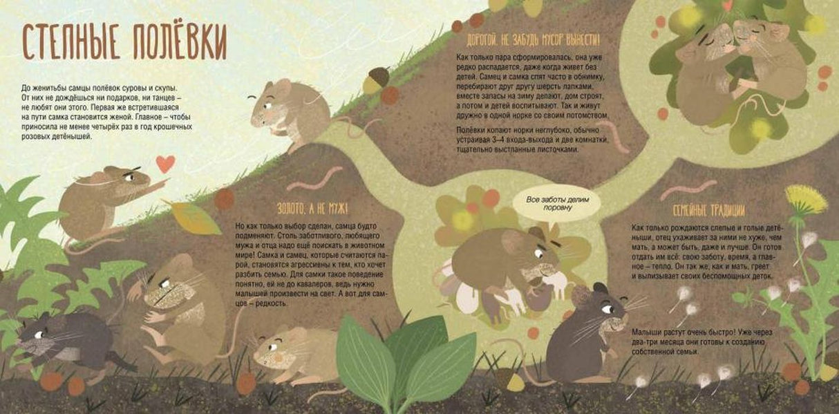 папа мама 9785906994264