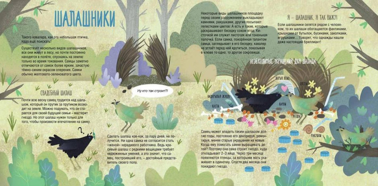 папа мама 9785906994264