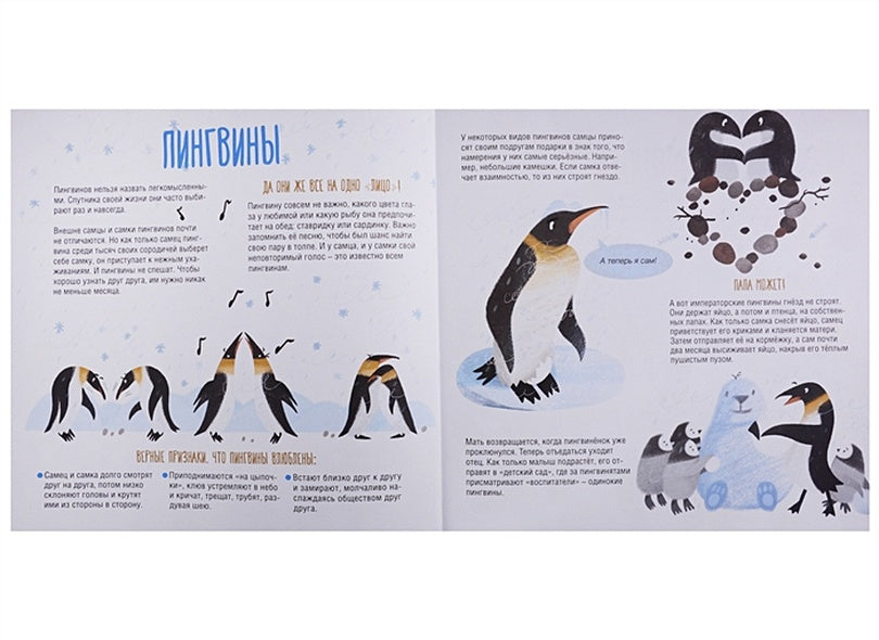 Папа, мама, я – звериная семья 978-5-906994-26-4 - 1