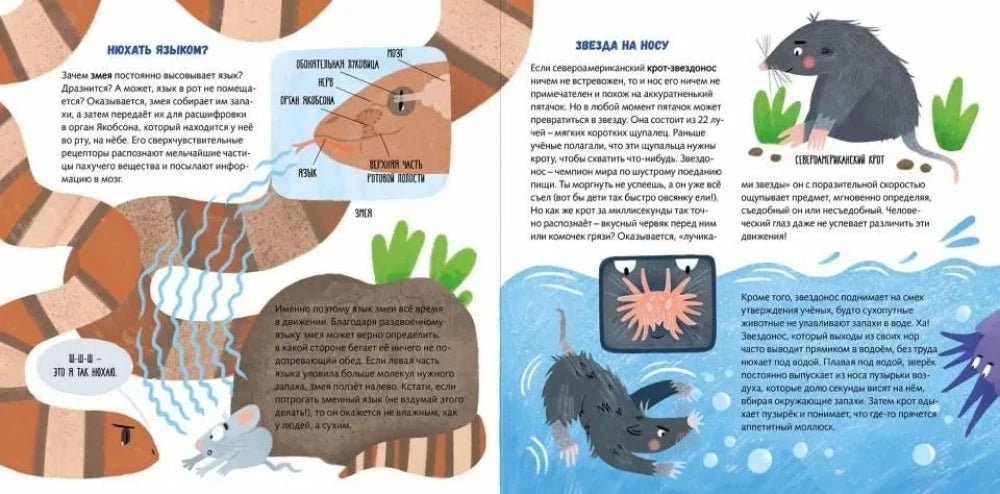 Суперзверята null - 2