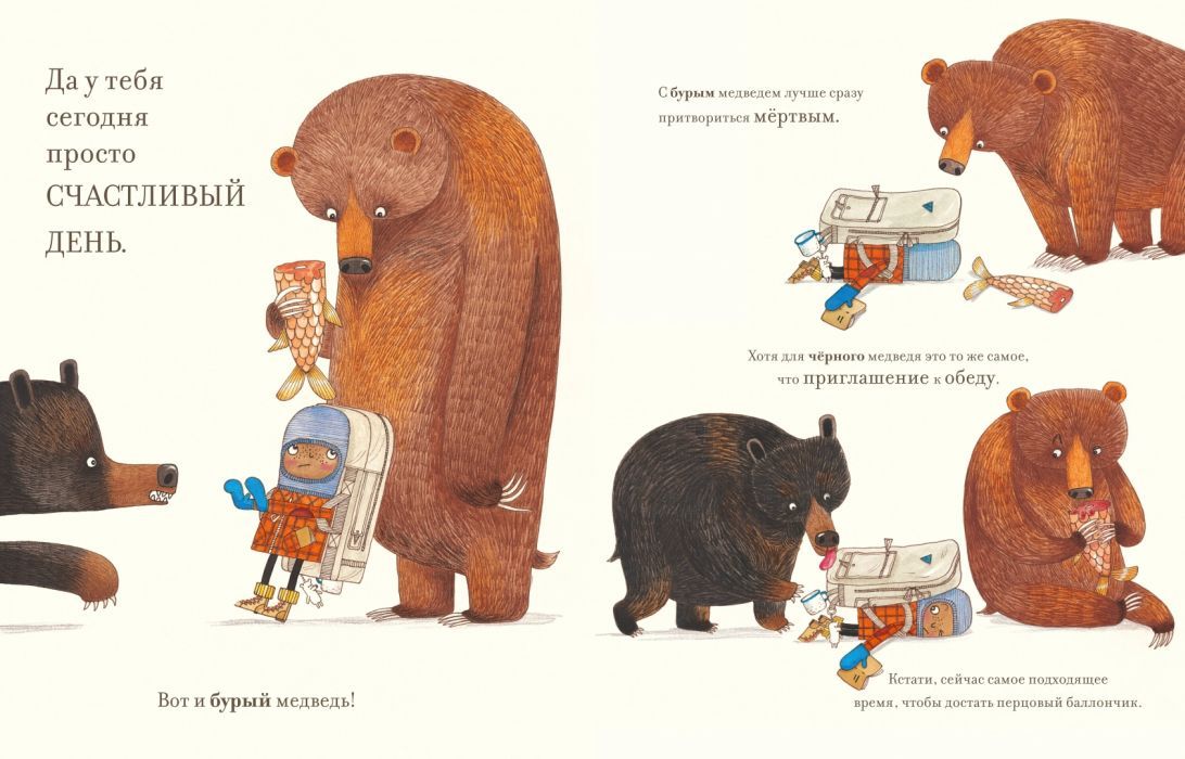 Практическая медведология для начинающих 9785907022492