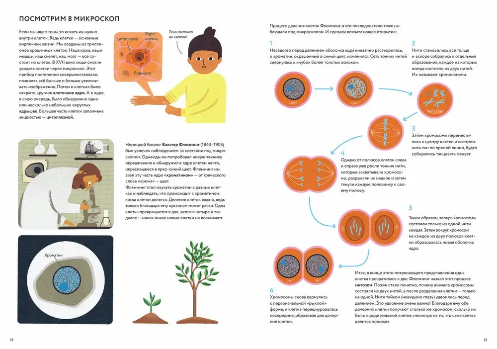 ДНК: код жизни 9785907793279 - 5