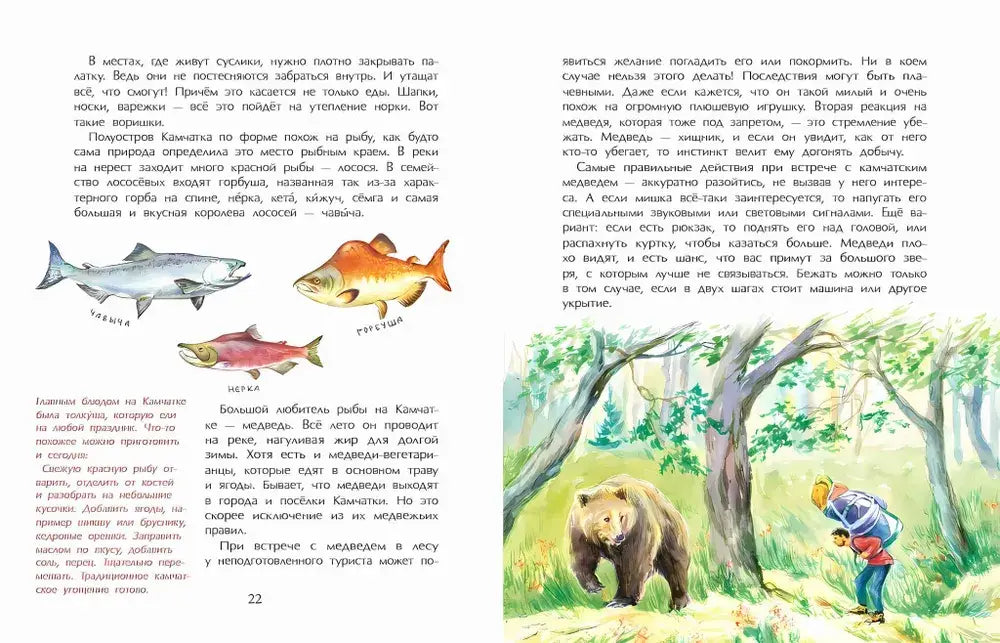 Камчатка. Снежная и огненная 9785907842328 - 6