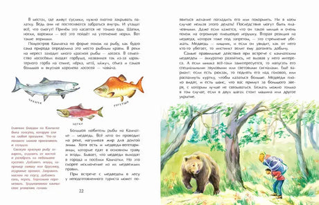 Камчатка. Снежная и огненная 9785907842328 - 6