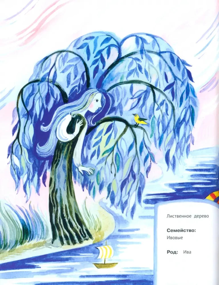 Деревья наших лесов null - 1