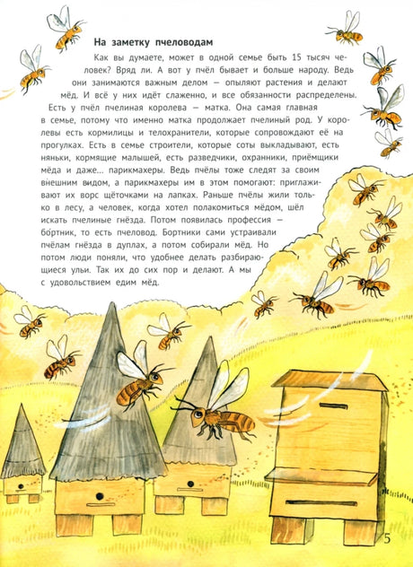 Гнезда, дупла и берлоги null - 2