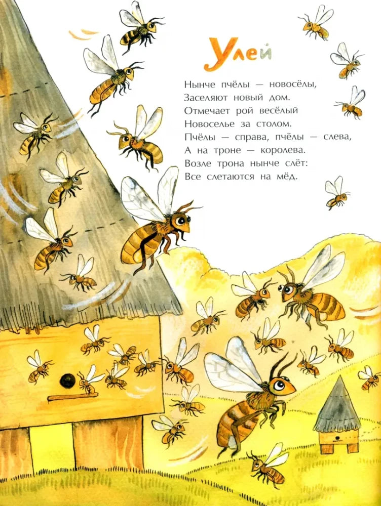 Гнезда, дупла и берлоги null - 1