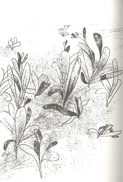 Альдабра. Черепаха, которая любила Шекспира 978-5-91759-751-5 - 1