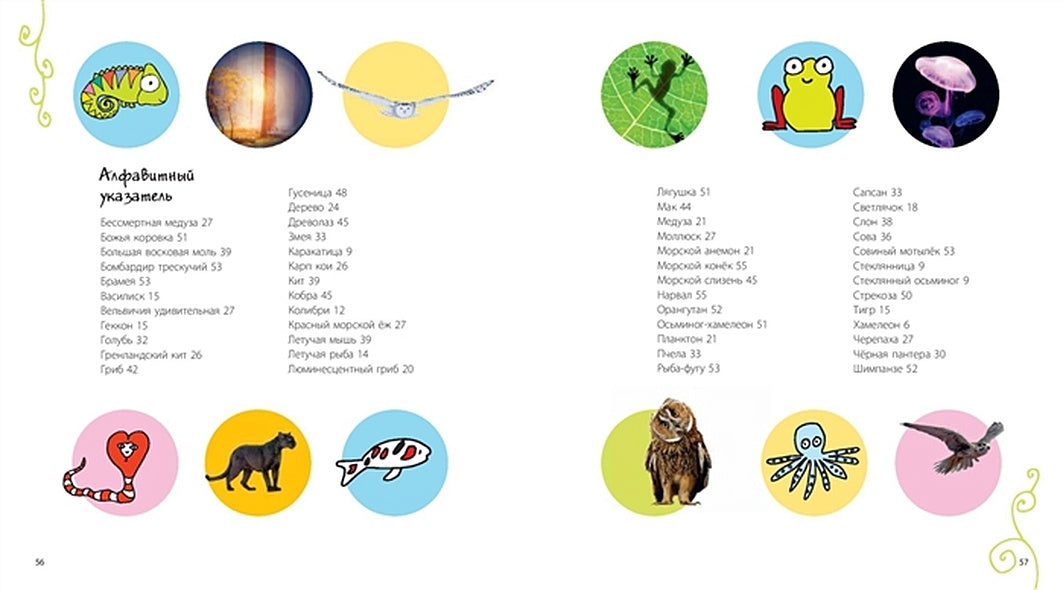 Посмотри, как я могу! Чудеса животного мира 978-5-91921-882-1 - 5