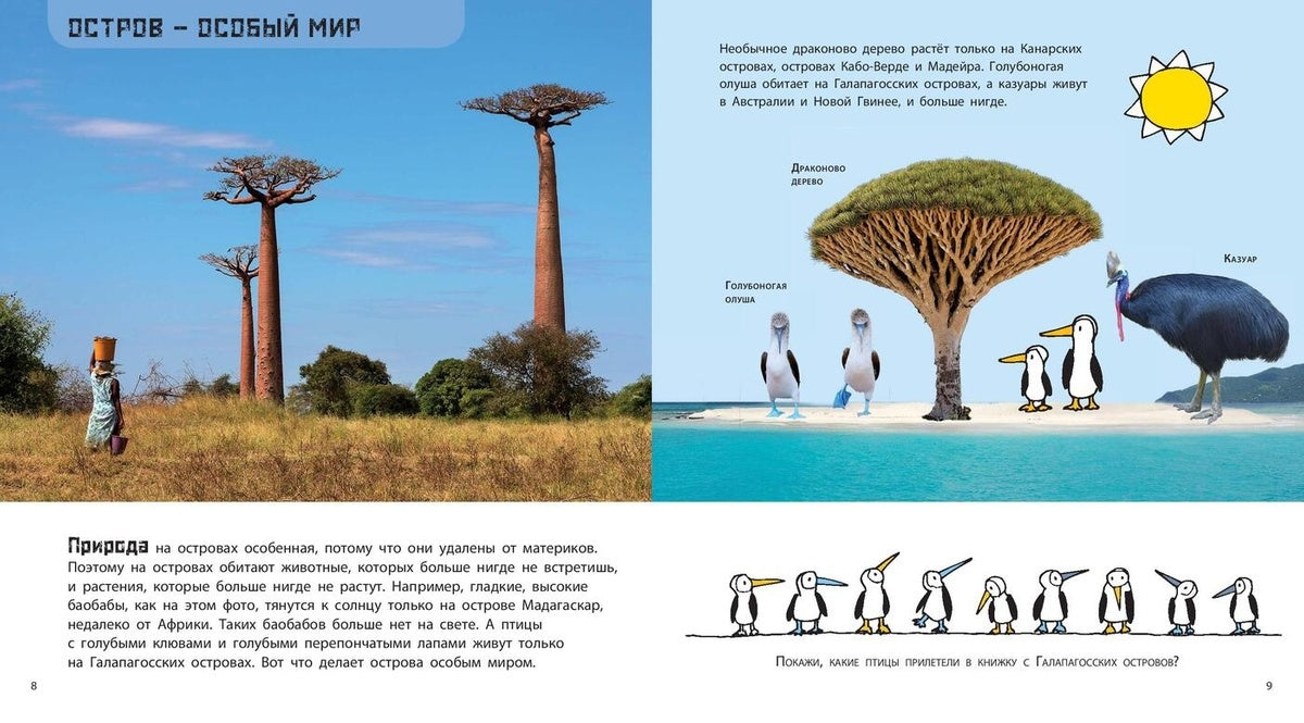 Суша в море. Чудесные острова 978-5-91921-906-4 - 5