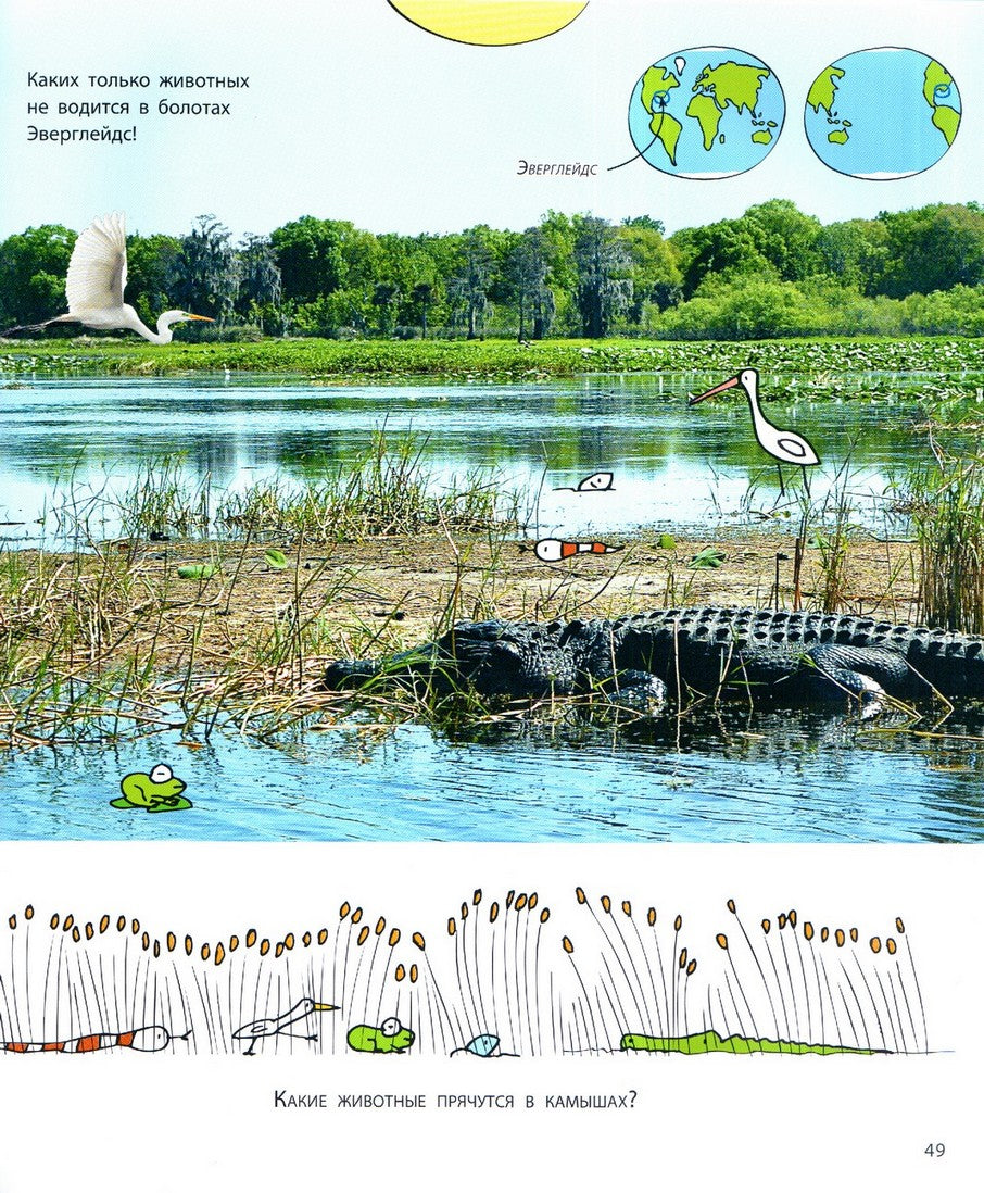 От ручейка до океана. Водный мир нашей планеты 978-5-91921-930-9 - 4