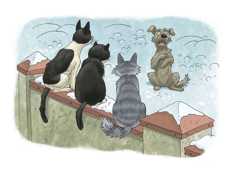 Кошки идут по снегу 9785926837756