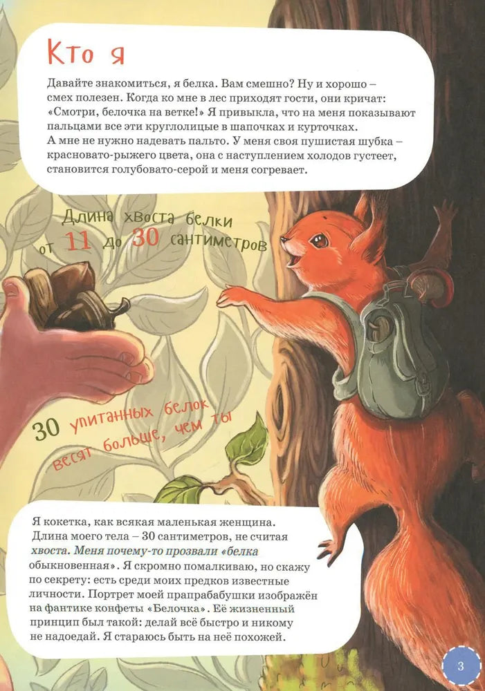 Я белка null - 1