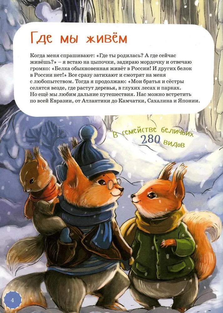 Я белка null - 2