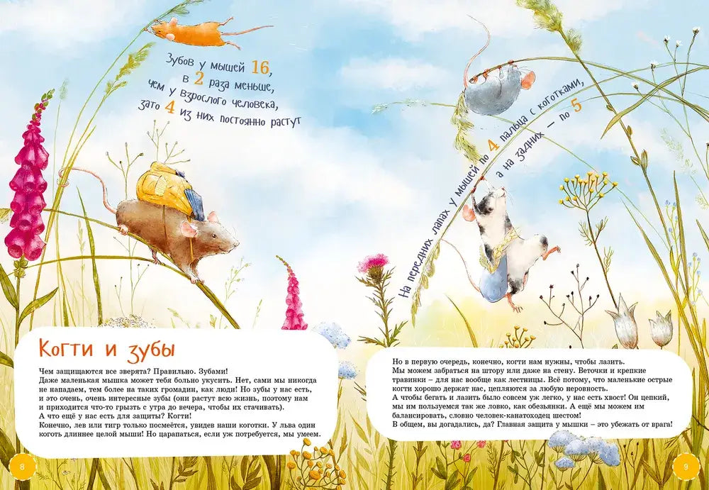 Я мышь 9785961460643