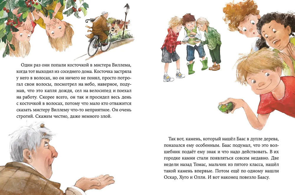 Волшебные камни Бааса 9785961473971