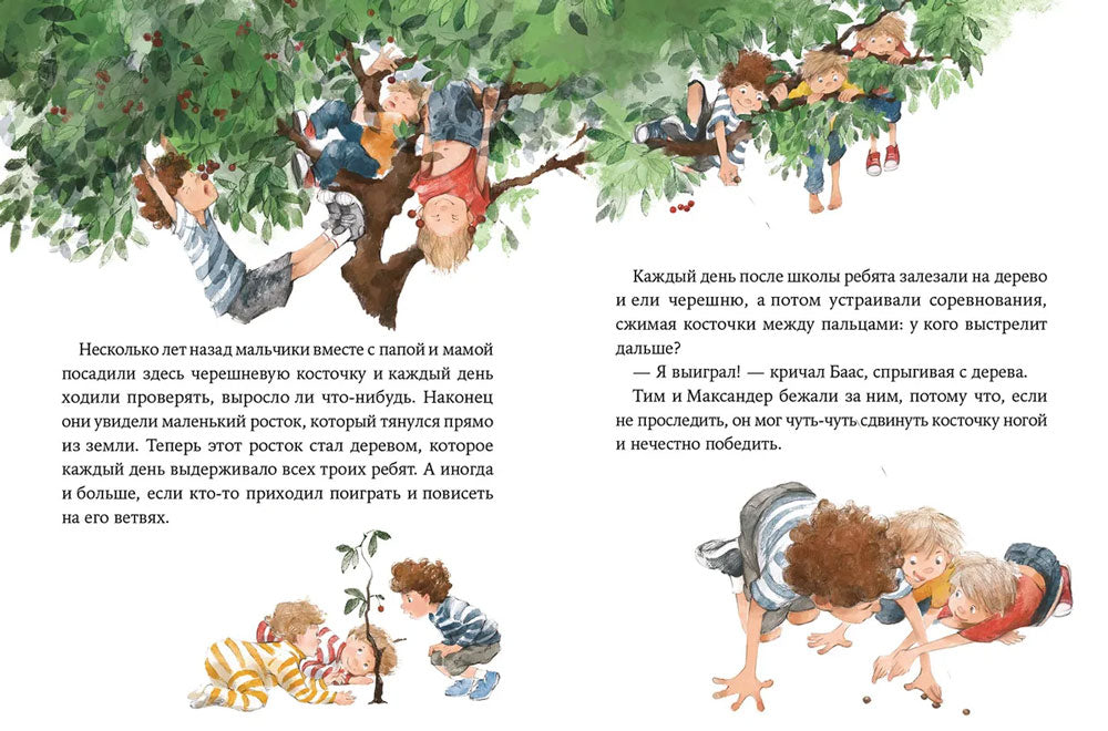 Волшебные камни Бааса 9785961473971