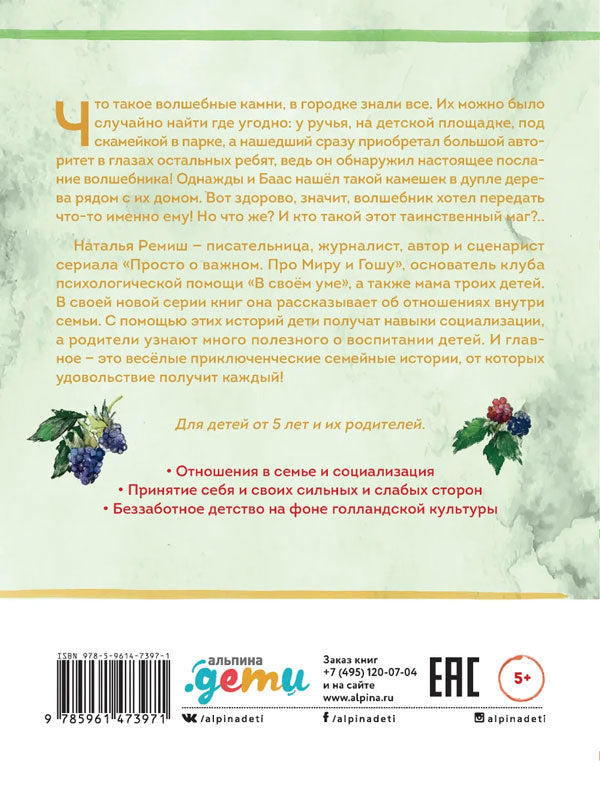 Волшебные камни Бааса 9785961473971