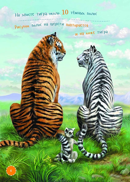 Я Тигр 978-5-9614-7485-5 - 5