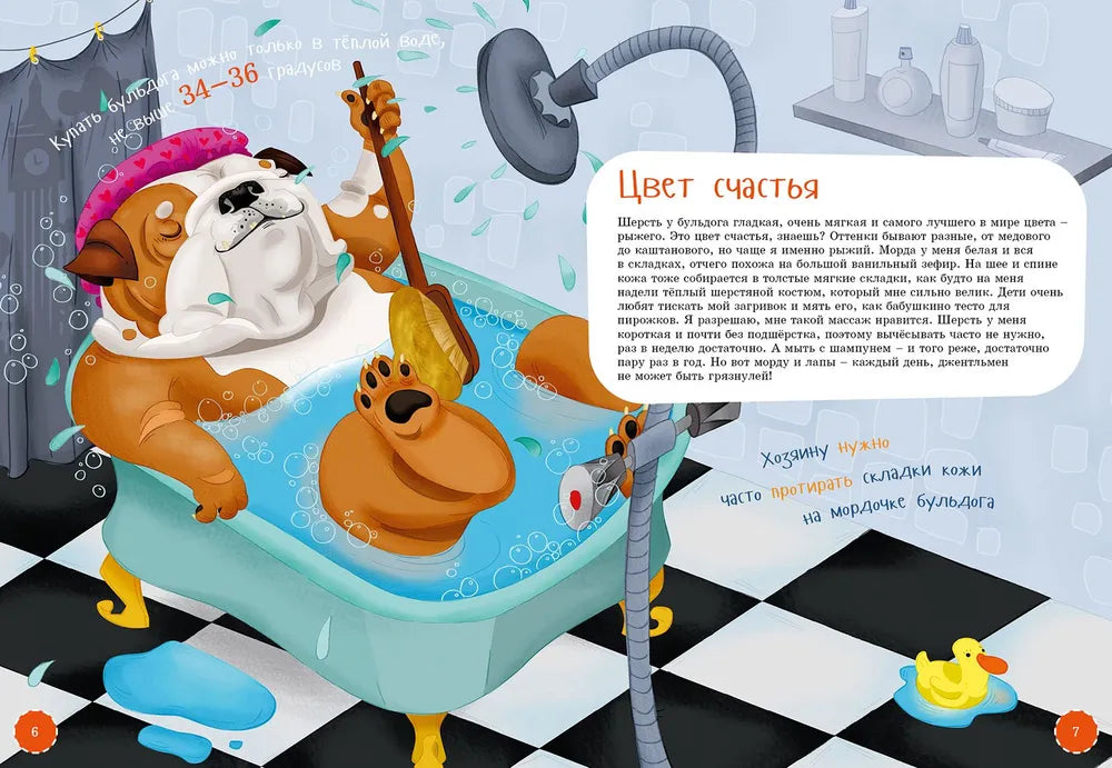 Я английский бульдог null - 4