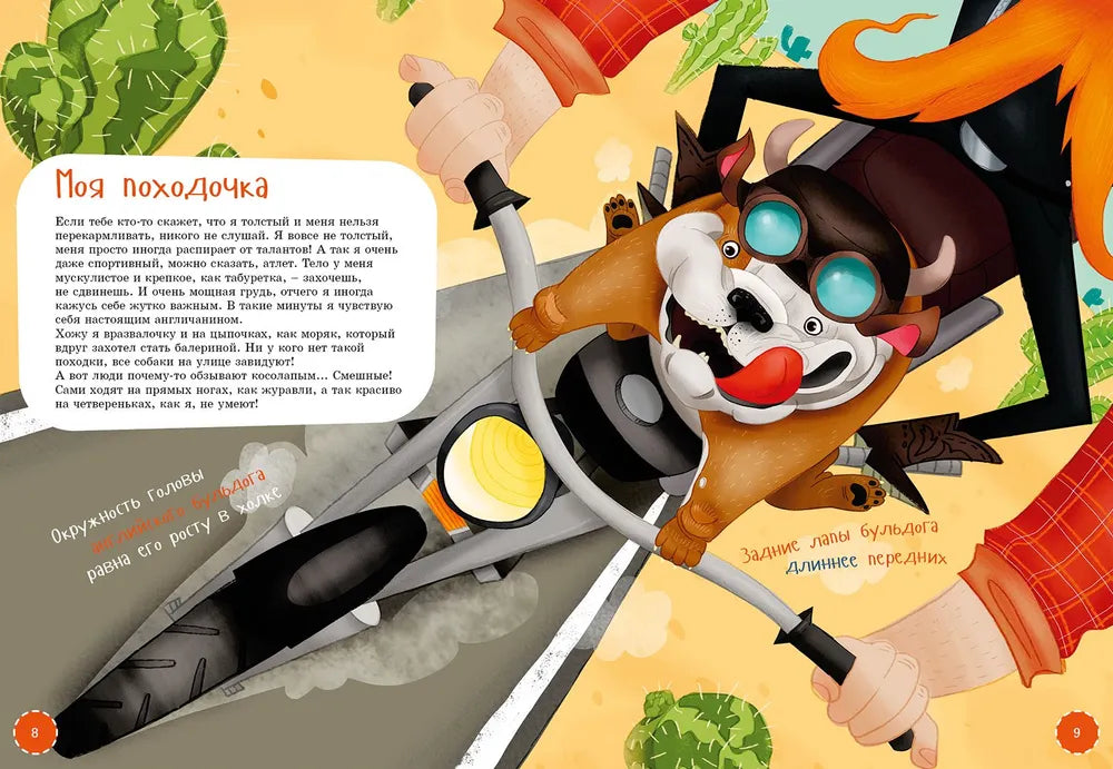Я английский бульдог null - 2