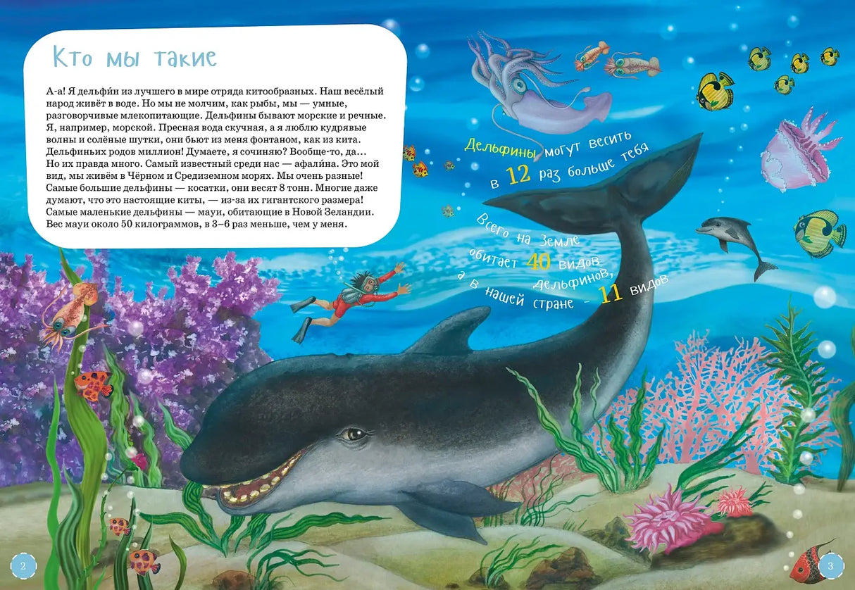 Я дельфин с раскрасками 9785961481020