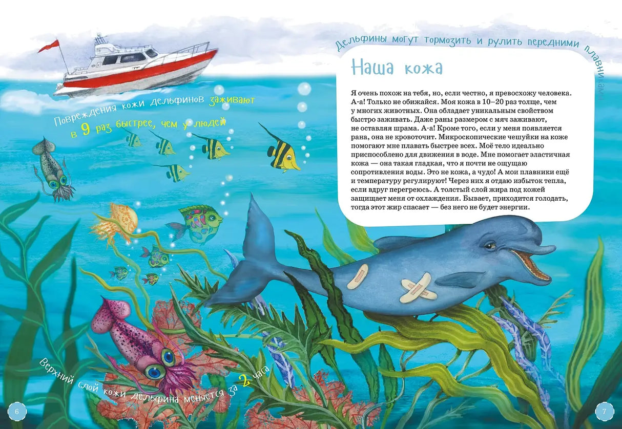 Я дельфин с раскрасками 9785961481020