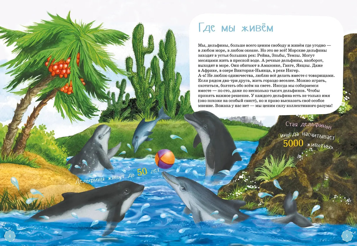 Я дельфин с раскрасками 9785961481020