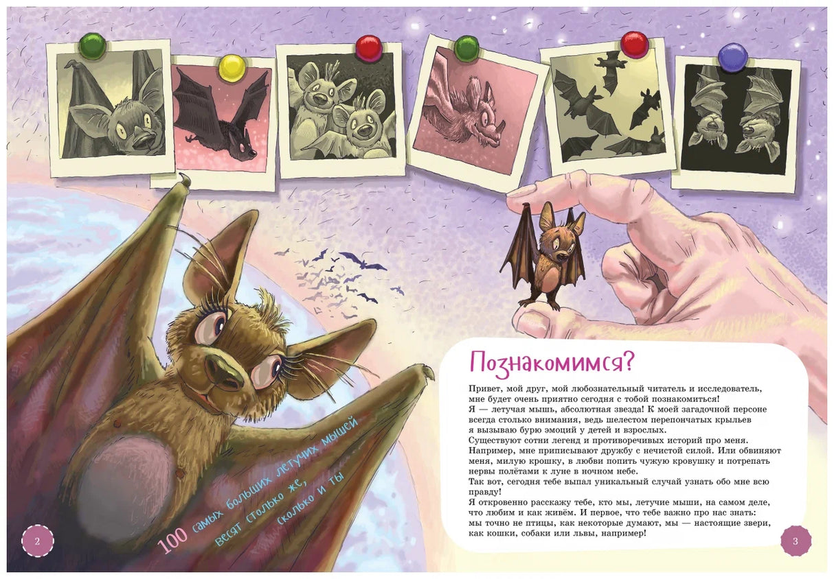 Я летучая мышь null - 3