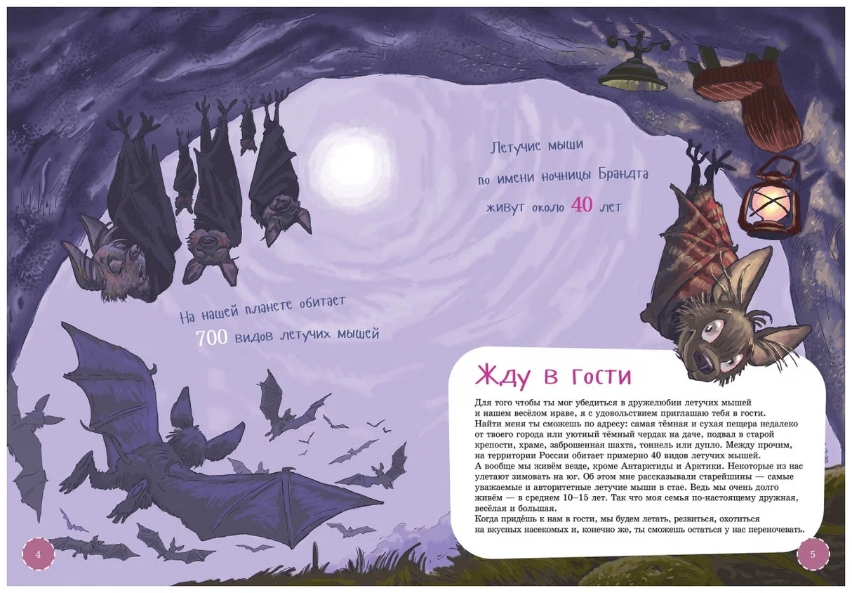 Я летучая мышь null - 4