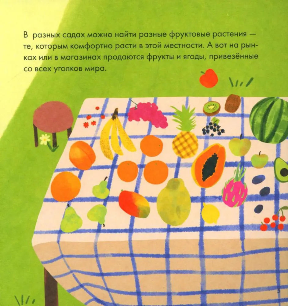 Я знаю, что я ем. Фрукты null - 4