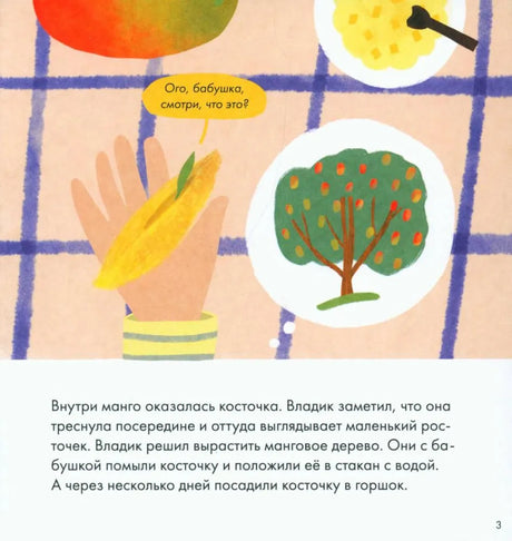 Я знаю, что я ем. Фрукты null - 2