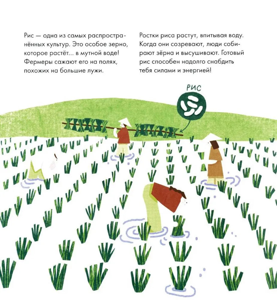 Я знаю, что я ем. Крупы 9785961489781