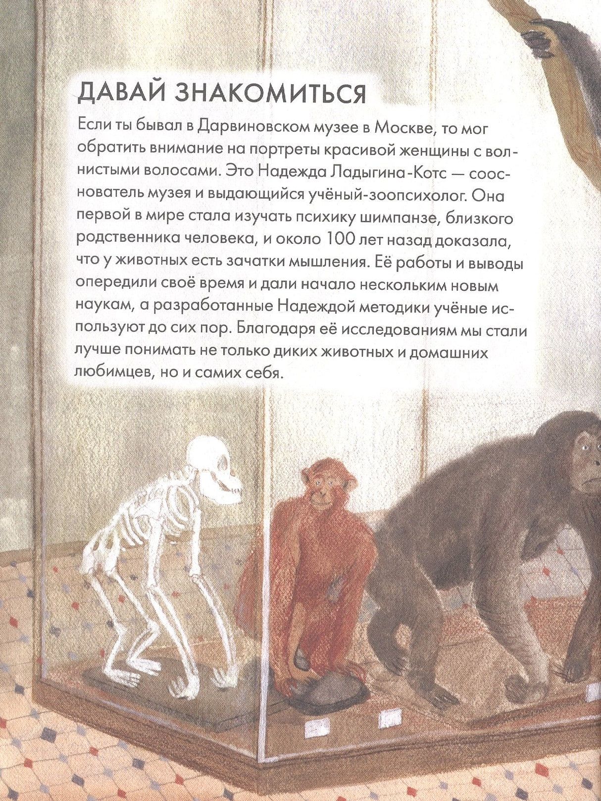 Чему я могу научиться у Надежды Ладыгиной-Котс 9785961493474