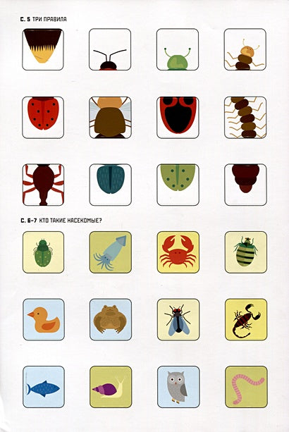 Без ума от жуков 978-5-9614-9382-5 - 2