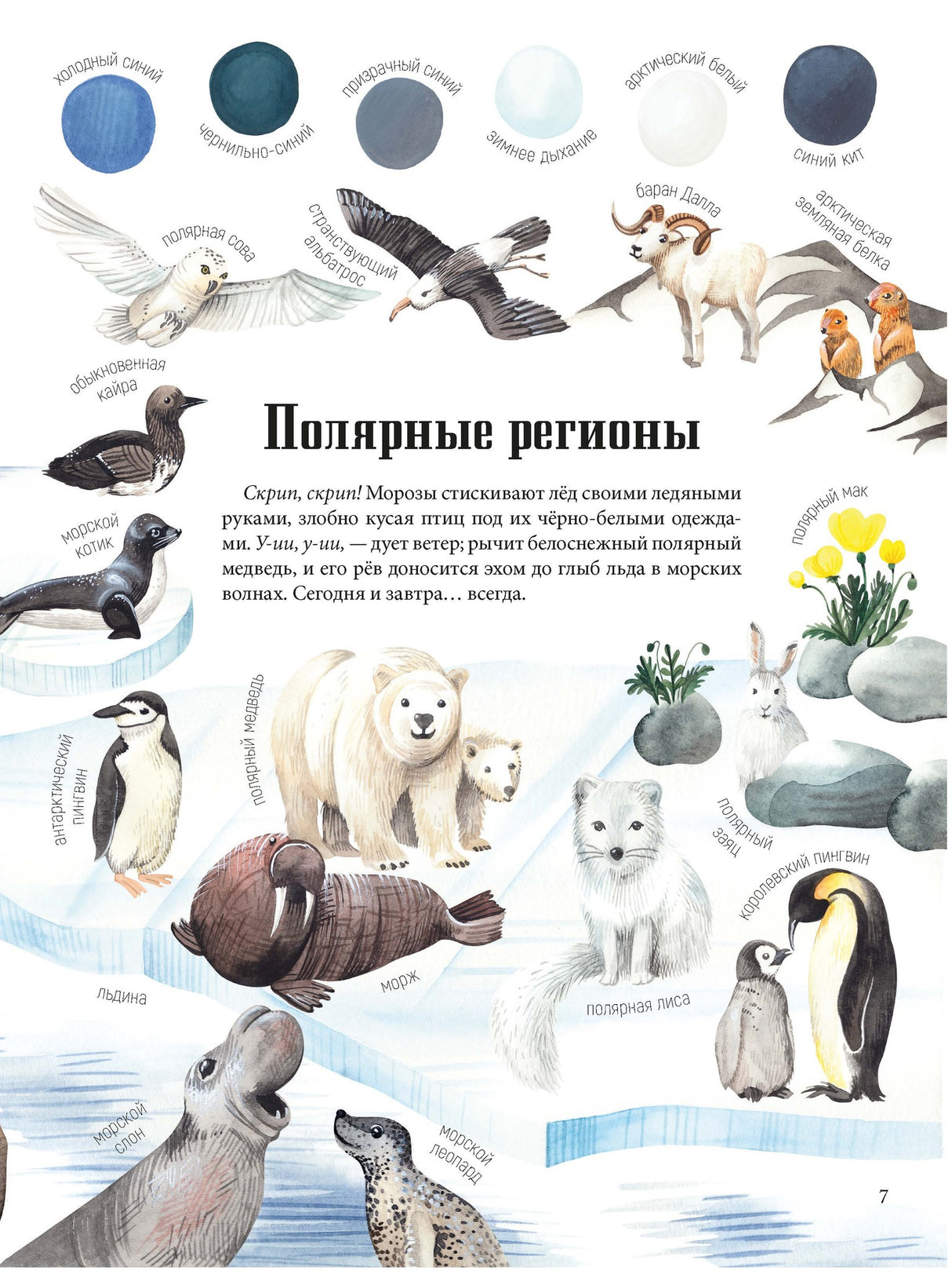 Цвета окружающего мира 9786013389417