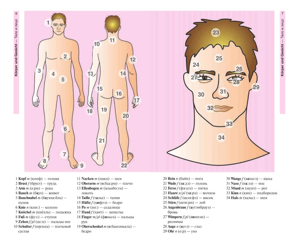 Немецкий язык в картинках null - 4